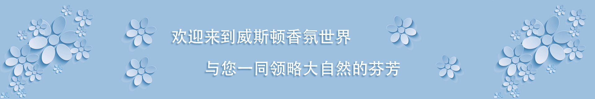 联系我们